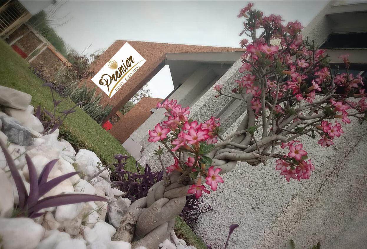 Hotel Premier Rio Verde Bagian luar foto